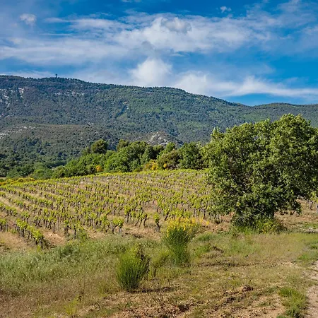Domaine De La Colline Cucuron