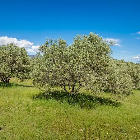 Domaine De La Colline Holiday home