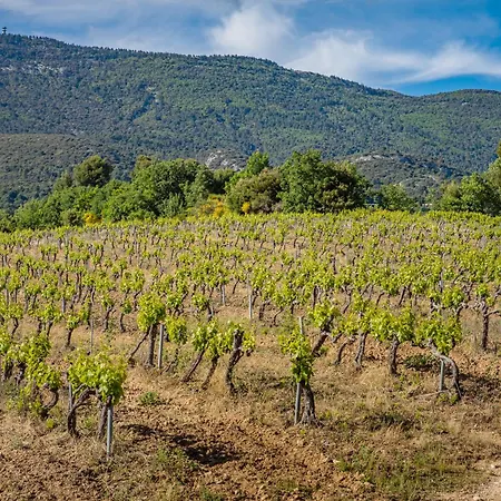 Domaine De La Colline Cucuron